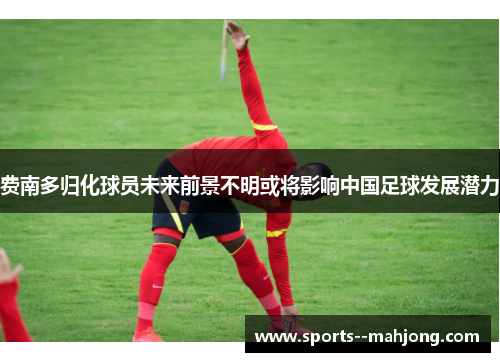费南多归化球员未来前景不明或将影响中国足球发展潜力